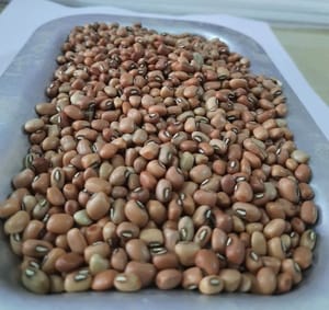 Lobia, Chawli, Barbati, Karamani 1kg Lobia, Chawli, Barbati, Karamani 1kg