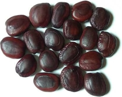 Imli Seed, Tamarind Seed, Tamarind Kernel, Chinch Seed, Tamarind Beej 1kg Imli Seed, Tamarind Seed, Tamarind Kernel, Chinch Seed, Tamarind Beej 1kg