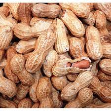 In-Shell Roasted Peanuts, Chhilke Wali Bhuni Moongfali, Groundnuts in Shell, Roasted Groundnuts, Winter Bhuni Moongfali 500gm