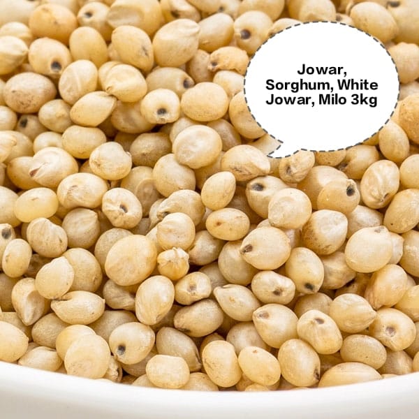 Jowar, Sorghum, White Jowar, Milo, Great Millet 3kg