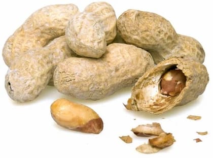 In-Shell Roasted Peanuts, Chhilke Wali Bhuni Moongfali, Groundnuts in Shell, Roasted Groundnuts, Winter Bhuni Moongfali 300gm