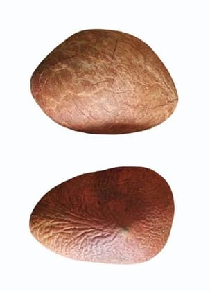 Dry Coconut, Copra, Sukha Nariyal, Khopra, Desiccated Coconut 300gm 2piec