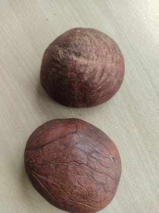 Dry Coconut (Copra/Khopra) – Desiccated Sukha Nariyal, 600g Pack of 4 Pieces