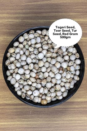 Togari Seed, Toor Seed, Tur Seed, Red Gram Seed, Pigeon Pea Seed 500gm