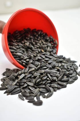 Sunflower Seeds, Suryakanthi Seeds, Black Sunflower Seeds, Premium Sunflower Seeds, Natural Sunflower Seeds 5kg