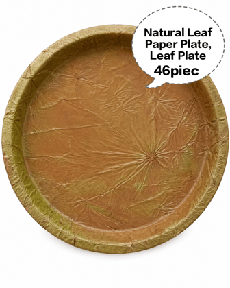 Natural Leaf Paper Plate, Leaf Paper Plate, Disposable Leaf Plate, Eco Friendly Leaf Plate, Biodegradable Leaf Plate 46pieces 