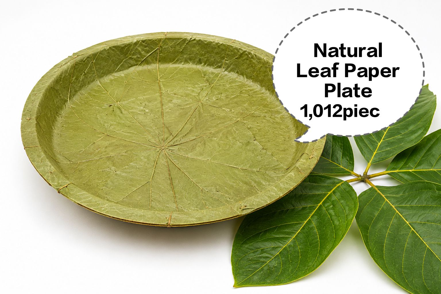 Natural Leaf Paper Plate, Leaf Paper Plate, Disposable Leaf Plate, Eco Friendly Leaf Plate, Biodegradable Leaf Plate 1,012pieces