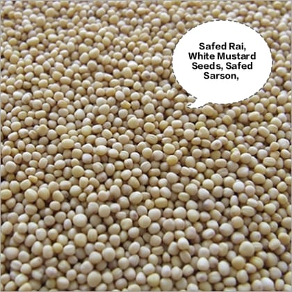 Safed Rai, White Mustard Seeds, Safed Sarson, White Rai Dana, Yellow Mustard Seeds 500gm