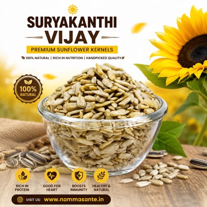 Sunflower Seed Kernels | Sunflower Kernels | Shelled Sunflower Seeds | Sunflower Seeds Without Shell | Sunflower Kernel