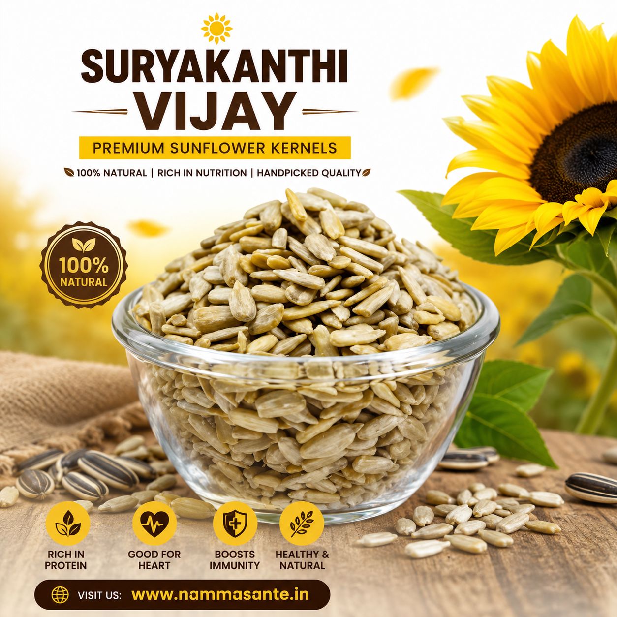 Sunflower Seed Kernels | Sunflower Kernels | Shelled Sunflower Seeds | Sunflower Seeds Without Shell | Sunflower Kernel