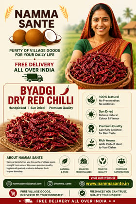 Byadgi Dry Red Chilli | Sukhi Lal Mirch | Ona Menasinakayi | Endu Mirapakaya | Kaayndha Milagai | Sukya Lal Mirchya