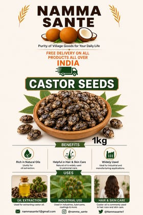 Castor Seeds, Arandi Seeds, Castor Bean Seeds, Ricinus Seeds, Erand Seeds 1kg