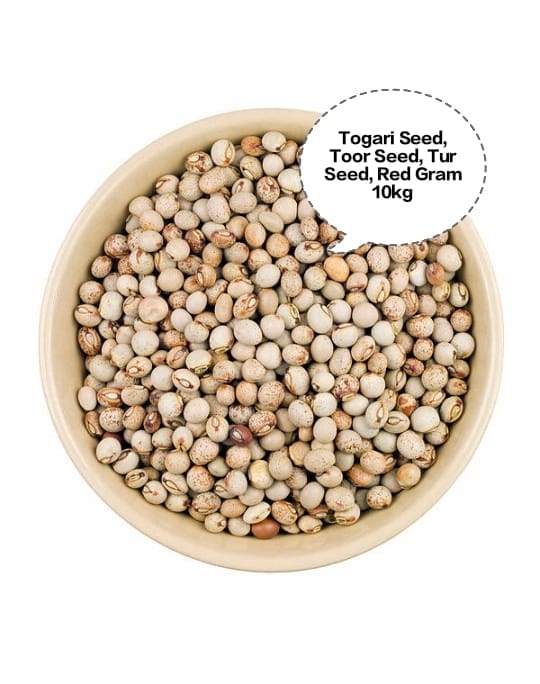 Togari Seed, Toor Seed, Tur Seed, Red Gram Seed, Pigeon Pea Seed 10kg