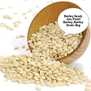 Barley Seed, Jau, Pearl Barley, Barley Grain, Jau Dana 3kg