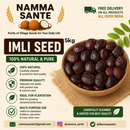 Imli Seed, Tamarind Seed, Tamarind Kernel, Chinch Seed, Tamarind Beej 5kg