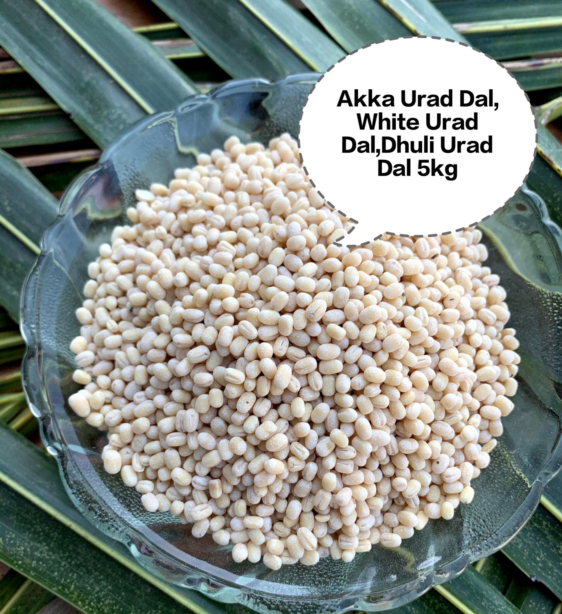 Akka Urad Dal, White Urad Dal, Dhuli Urad Dal, Split Urad Dal, Urad Mogar 5kg