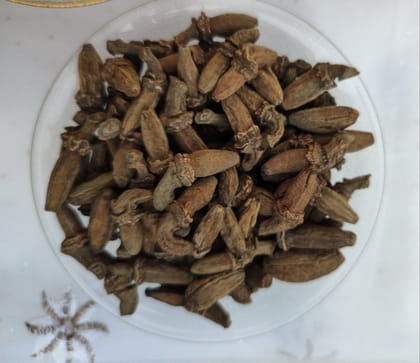 Marathi Moggu Small, Kapok Buds, Marathi Moggu, Dried Kapok Flower Buds, Spice Buds 60kg