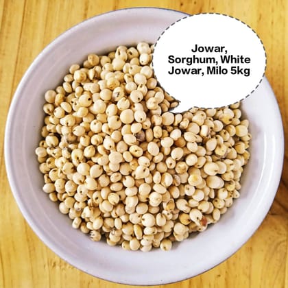 Jowar, Sorghum, White Jowar, Milo, Great Millet 5kg