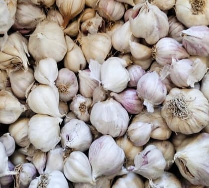 Village Garlic, Desi Lahsun, Local Garlic, Organic Garlic 1kg