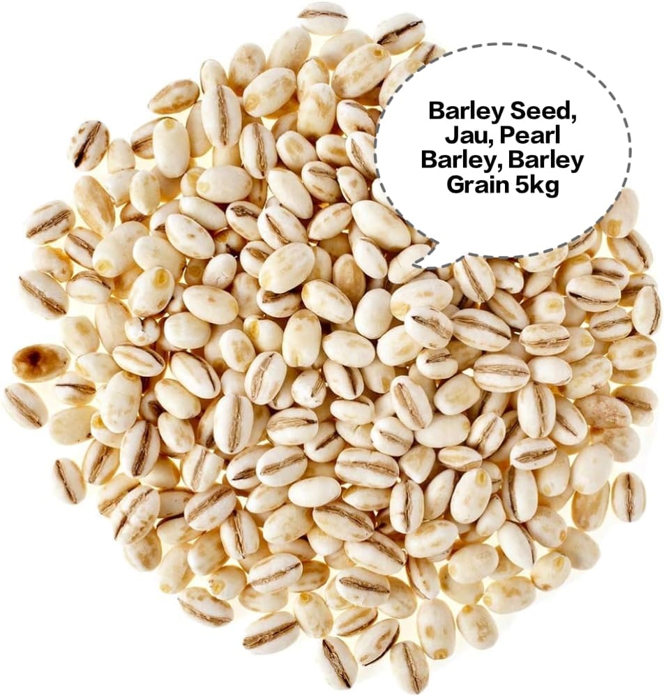 Barley Seed, Jau, Pearl Barley, Barley Grain, Jau Dana 5kg