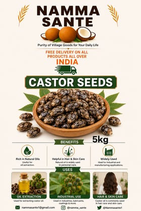 Castor Seeds, Arandi Seeds, Castor Bean Seeds, Ricinus Seeds, Erand Seeds 5kg