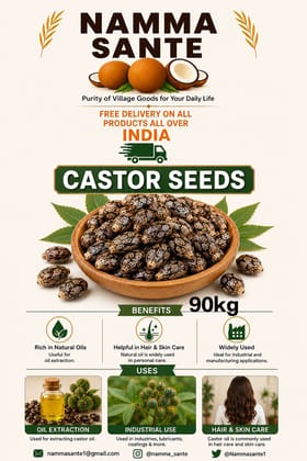 Castor Seeds, Arandi Seeds, Castor Bean Seeds, Ricinus Seeds, Erand Seeds 90kg