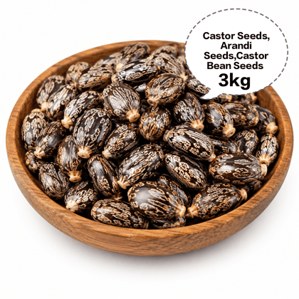 Castor Seeds, Arandi Seeds, Castor Bean Seeds, Ricinus Seeds, Erand Seeds 3kg Castor Seeds, Arandi Seeds, Castor Bean Seeds, Ricinus Seeds, Erand Seeds 3kg