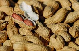 In-Shell Roasted Peanuts, Chhilke Wali Bhuni Moongfali, Groundnuts in Shell, Roasted Groundnuts, Winter Bhuni Moongfali 500gm