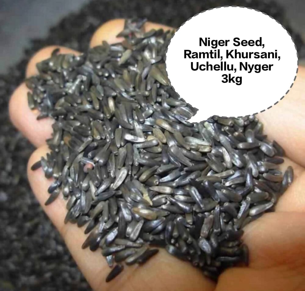 Niger Seed, Ramtil, Khursani, Uchellu, Nyger 3kg