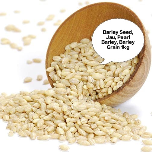 Barley Seed, Jau, Pearl Barley, Barley Grain, Jau Dana 1kg