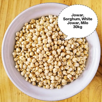 Jowar, Sorghum, White Jowar, Milo, Great Millet 30kg