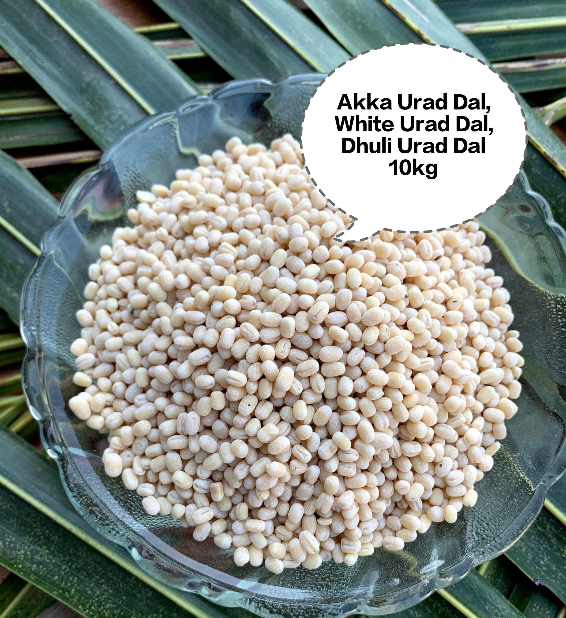 Akka Urad Dal, White Urad Dal, Dhuli Urad Dal, Split Urad Dal, Urad Mogar 10kg