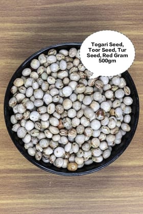 Togari Seed, Toor Seed, Tur Seed, Red Gram Seed, Pigeon Pea Seed 500gm