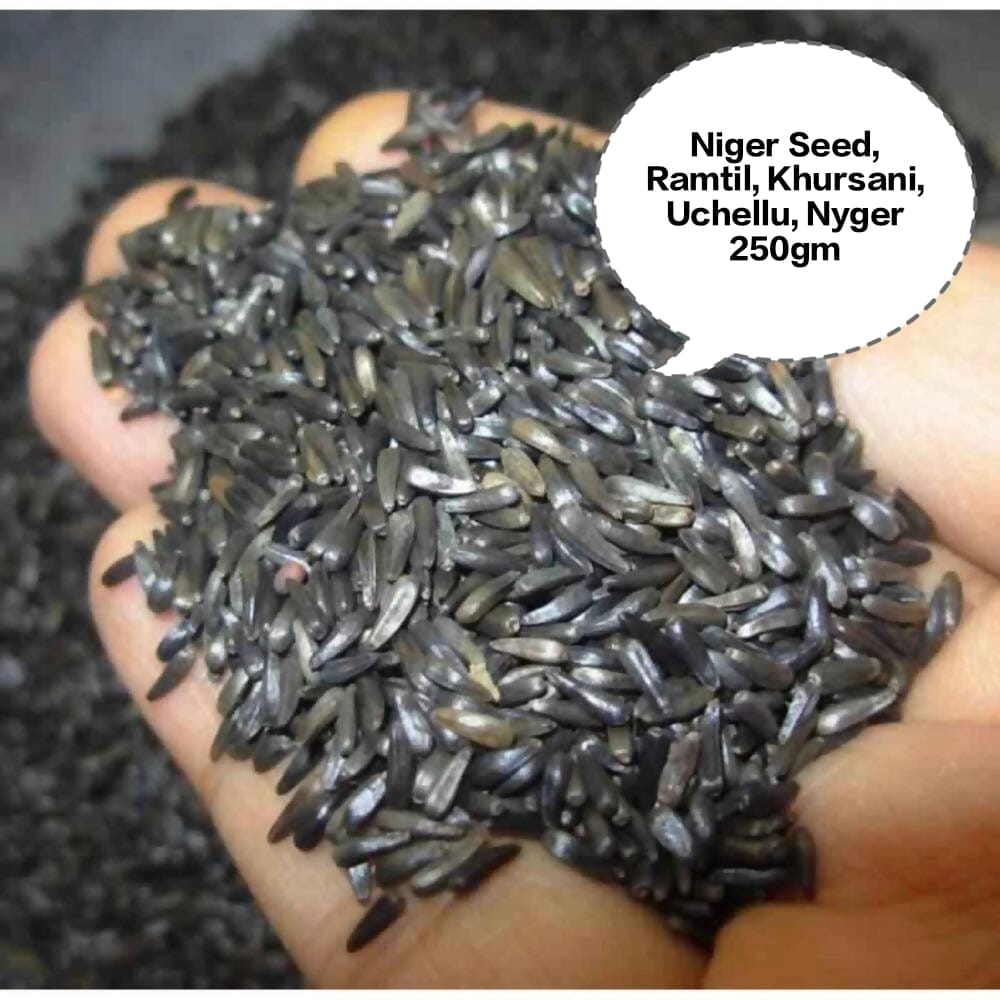Niger Seed, Ramtil, Khursani, Uchellu, Nyger 250gm